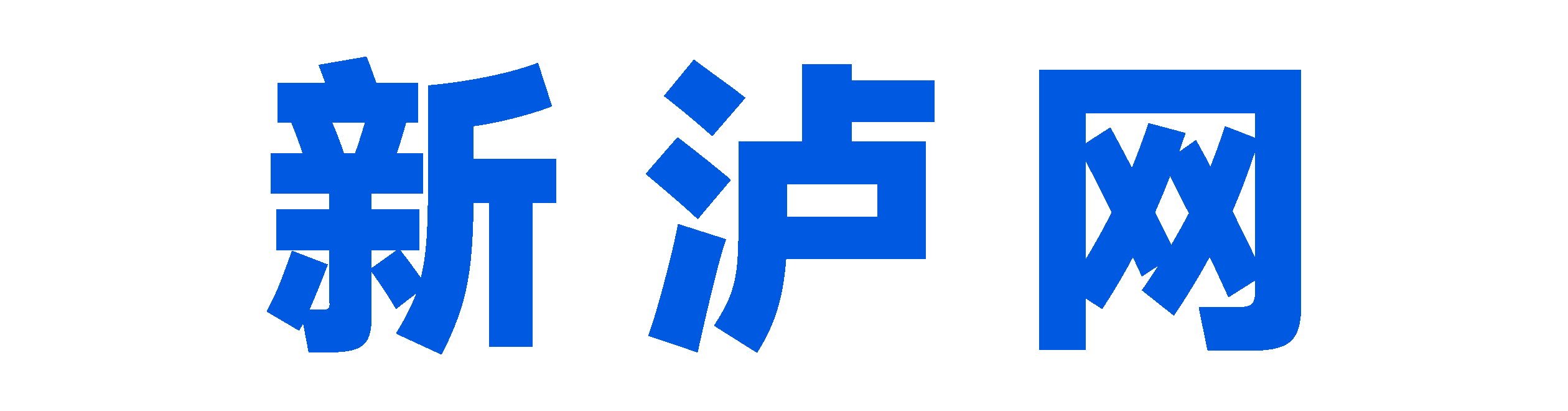 新泸网